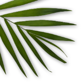 decor-top